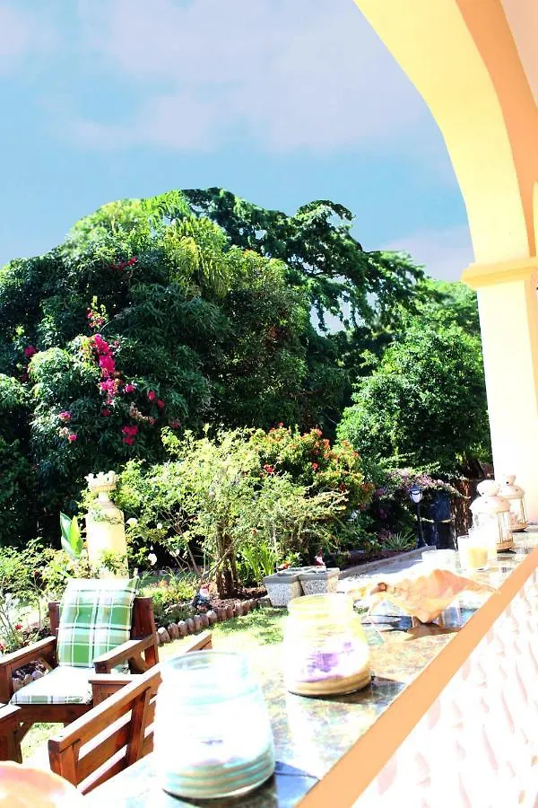Mon Dezir Villa Au Cap